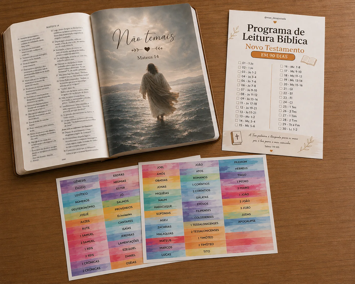 Kit completo com página temática, abas e plano de leitura