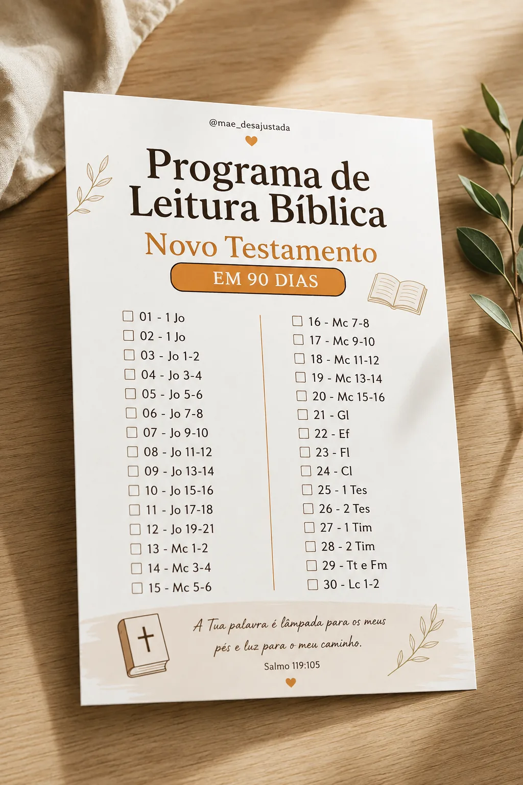 Plano de leitura do Novo Testamento em 90 dias